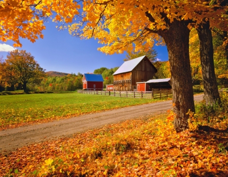 Vermont at Fall - trees, season, autumn, colors, farm, leaves