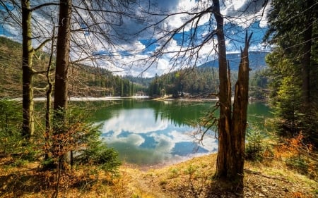 Lake - trees, nature, lake, mountain, sky