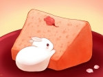 Rose bread and bunny