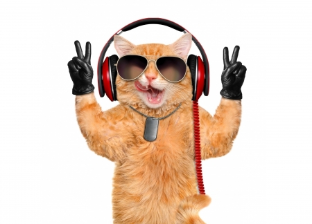 Cool cat - ginger, orange, glove, cat, pisica, headphones, white, funny, sunglasses