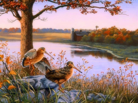 Autumn View - attractions in dreams, fields, autumn, nature, lakes, love four seasons, paintings, colors, farms, birds, fall season