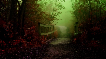 Foggy morning - path, forest, nature, fog