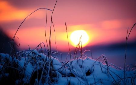 Sunset - winter, nature, sunset, snow