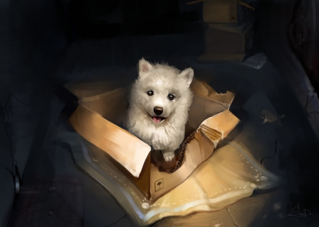 Dog In A Box - dogs, cute, animals, puppies