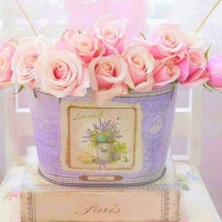 âœ¿âŠ±â€¢â•®Roses Pastelâ•­â€¢âŠ°âœ¿