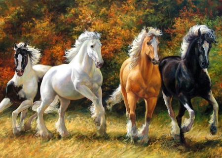 Horses - freedom, animal, nature, horse