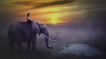 |Safari - girl, child, sunset, creative, fantasy, purple, elephant, yellow, animal