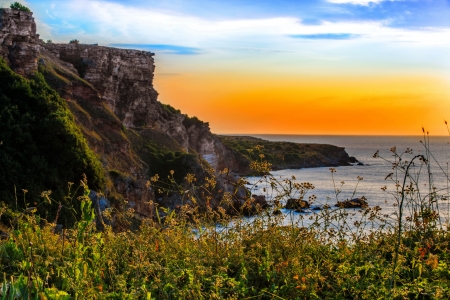 Beautiful sea morning - coast, beautiful, landscape, sea, sunrise, morning, lovely, dawn, wildflowers, view, sky, rocks