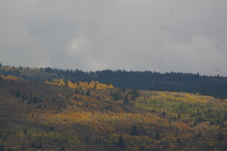 Fall is in the Air, Teton Valley, Idaho - Scenic, Autumn, Picturesque, Fall