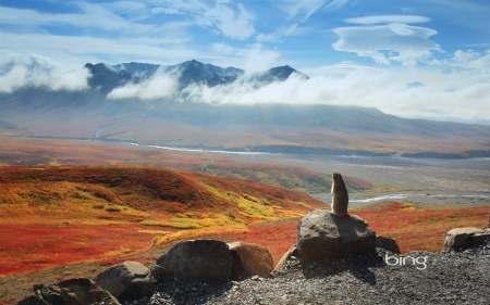 Weasel Looks into the Distance - valley, mountains, weasel, sky