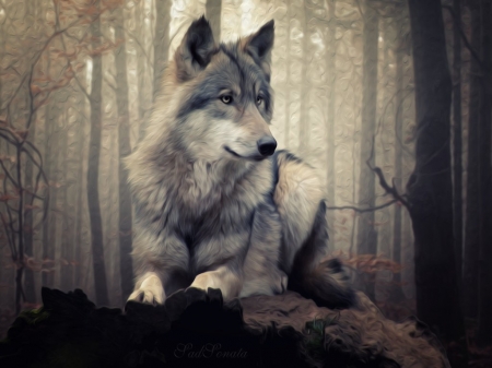 Before hunting - predators, wolf, wilderness, woves, digital art, nature, art, animals, wildlife, wild, wallpaper