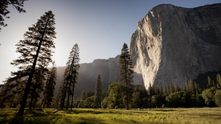 a mountain in the forest