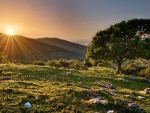 sunset on a field