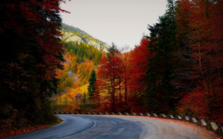 Road - nature, sky, autumn, forest, road