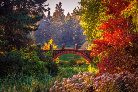 Autumn in Germany - trees, Germany, pond, botanical, leaves, fall, colorful, season, autumn, garden, lake, bridge, park