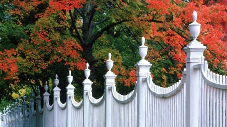 Bennington, Vermont - fall, trees, season, autumn, fence, leaves