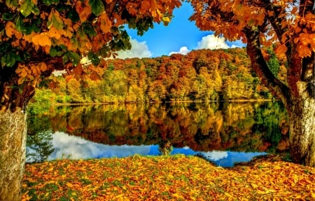 Autumn Lake - Autumn, Lake, Tree, Nature