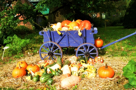 Fall Season - colors, pumpkin, cart, autumn