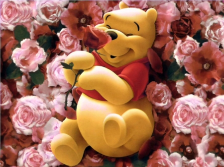 â€¢áƒ¦âœ¿áƒ¦â€¢ - flower, bear, roses, nature