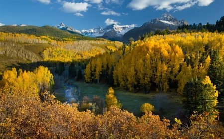 Autumn in Colorado Forest - river, trees, landscape, colors, mountains, leaves