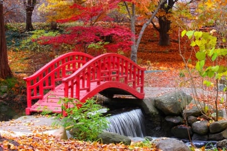 Cranbrook japanese garden - beautiful, creek, stream, forest, leaves, fall, autumn, garden, serenity, foliage, bridge, park, japanese