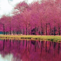River banks