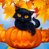 Black Kitty in Pumpkin