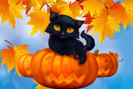 Black Kitty in Pumpkin - blue and orange, colors, pumpkin, leaves, autumn, Black cat, halloween, cute, kitty