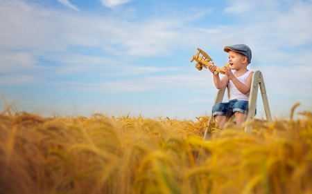 The airplane - airplane, yellow, summer, blue, copil, toy, child, boy, field, vara