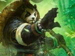 Panda warrior