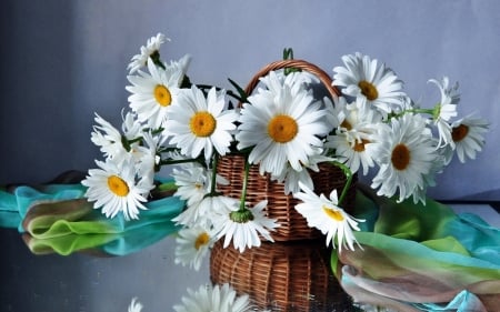 Basket of  flowers - daisies, flowers, white, nature, soft, asters, margaritas