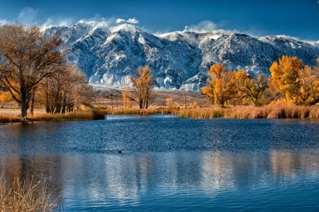 Lake District - trees, nature, autumn, Fall, lake, mountain