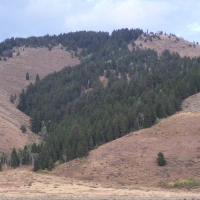 Mountain Range near Jackson Hole, Wyoming