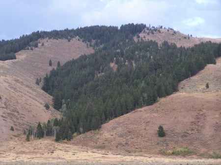 Mountain Range near Jackson Hole, Wyoming - tourism, scenic, mountains, airports