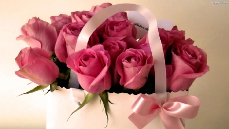 ROSES - leaves, petals, pink, gift bag