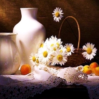 DAISIES AND FRUIT