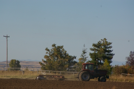 Fall Plowing, Teton Valley, Idaho - fields, farm implement equipment, farms, tractors