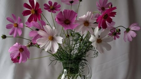 DAISIES - flowers, stems, petals, vase