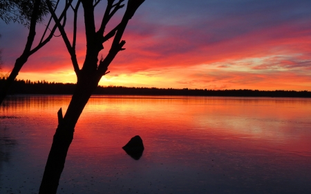 Lake Sunset - clouds, sunset, nature, landscape, lakes, tree