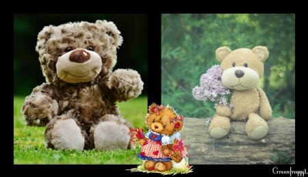 TEDDIES - image, two, cute, teddies