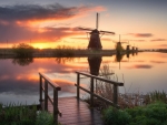 Windmills at Sunset