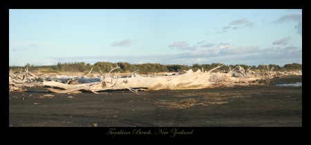 Turakina Beach, Rangitikei, Nz - north island, tasman, nature, coast, beach, island, sea