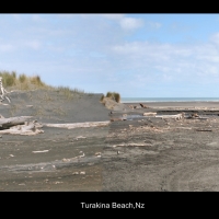 Turakina Beach, Rangitikei, Nz