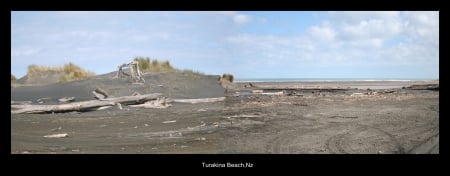 Turakina Beach, Rangitikei, Nz - drift, beach, wood, sea, coast west, sand, new zealand