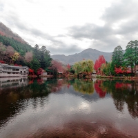 Lake Mountains Trees in Autumn