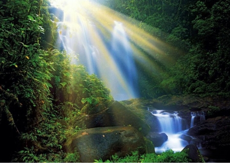 Magic Cascade - forest, trees, water, sunrays, creek