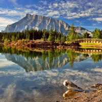 Lake Reflection