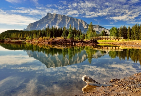 Lake Reflection - Mountain, Lake, Nature, Sky