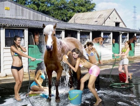 Horse Wash.. - women, fun, female, models, brunettes, western, girls, cowgirl, style, outdoors, horses, blondes, ranch, washing