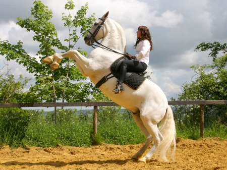 Riding High.. - style, girls, western, women, models, ranch, outdoors, horses, saddle, brunettes, cowgirl, fun, female, boots, blondes